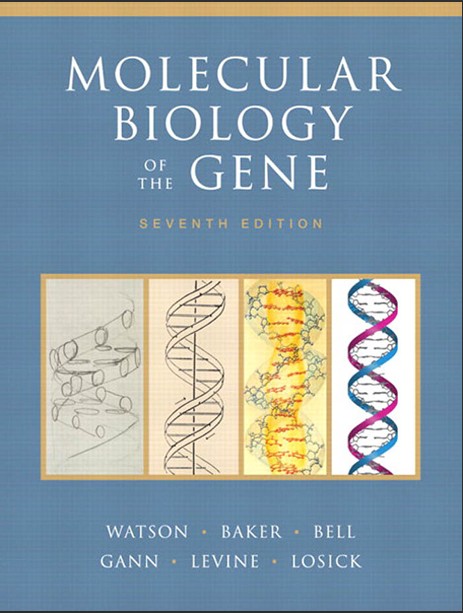 分子生物學 Cover